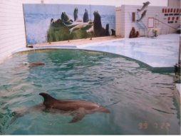 1695103353883224.jpg wps18.jpg