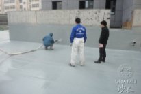 要學那泰山頂上一青松